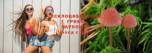 мяу мяу мука Алексин