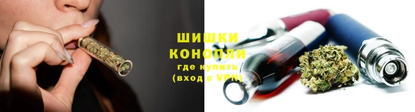 PSILOCYBIN Алексеевка