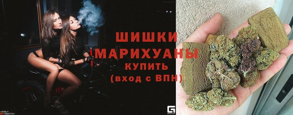 гидропоника Пересвет