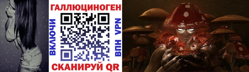 Галлюциногенные грибы прущие грибы  darknet наркотические препараты  Малоархангельск 